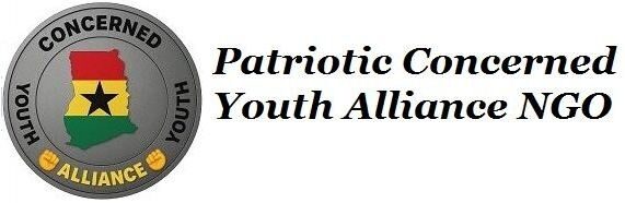 patrioticconcernedyouthalliance.org